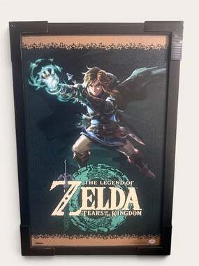 The Legend of Zelda: Tears of the Kingdom Link Ultra Hand Framed Poster
